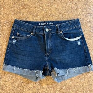 Roebuck & Co. Women's Blue Jean Shorts